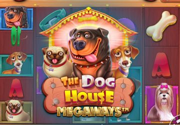 NOVOMATIC - игровой автомат онлайн от Various с RTP 97.48%